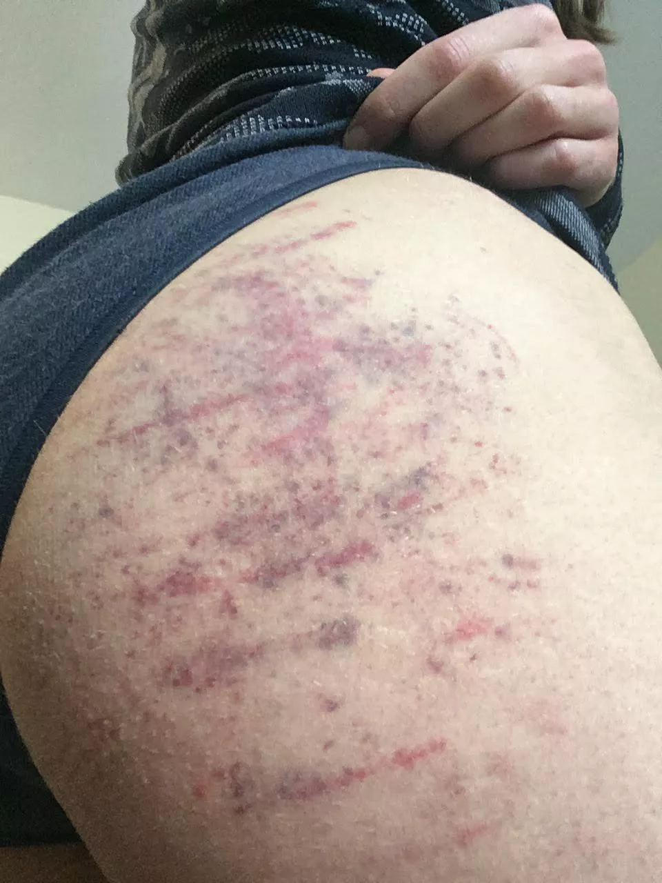 More Purple, Please posted by tortillasalami