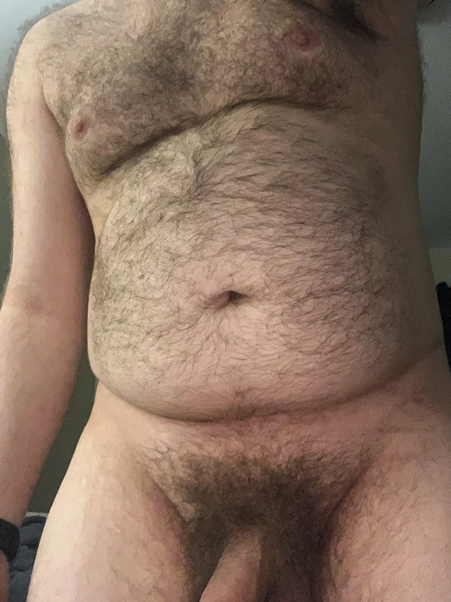 mornin posted by volibearcub