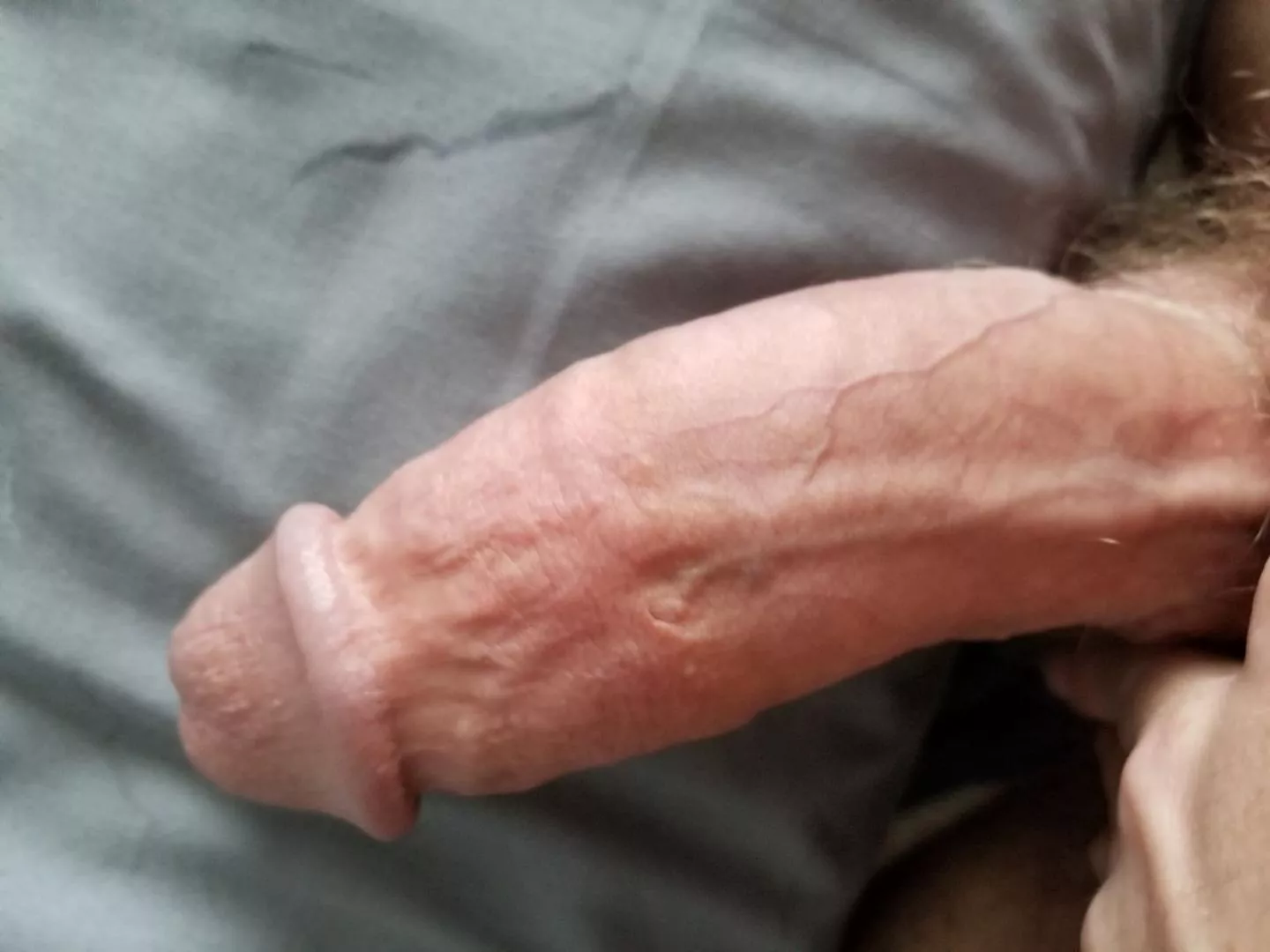 Morning 🍆 posted by PoignantParagon