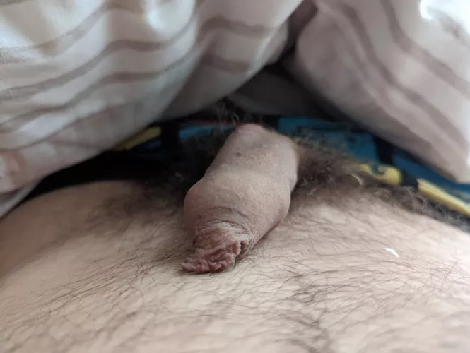 Morning (37) by hideandseekuk