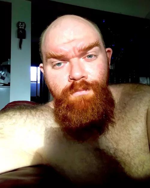 Morning! by Saethryd