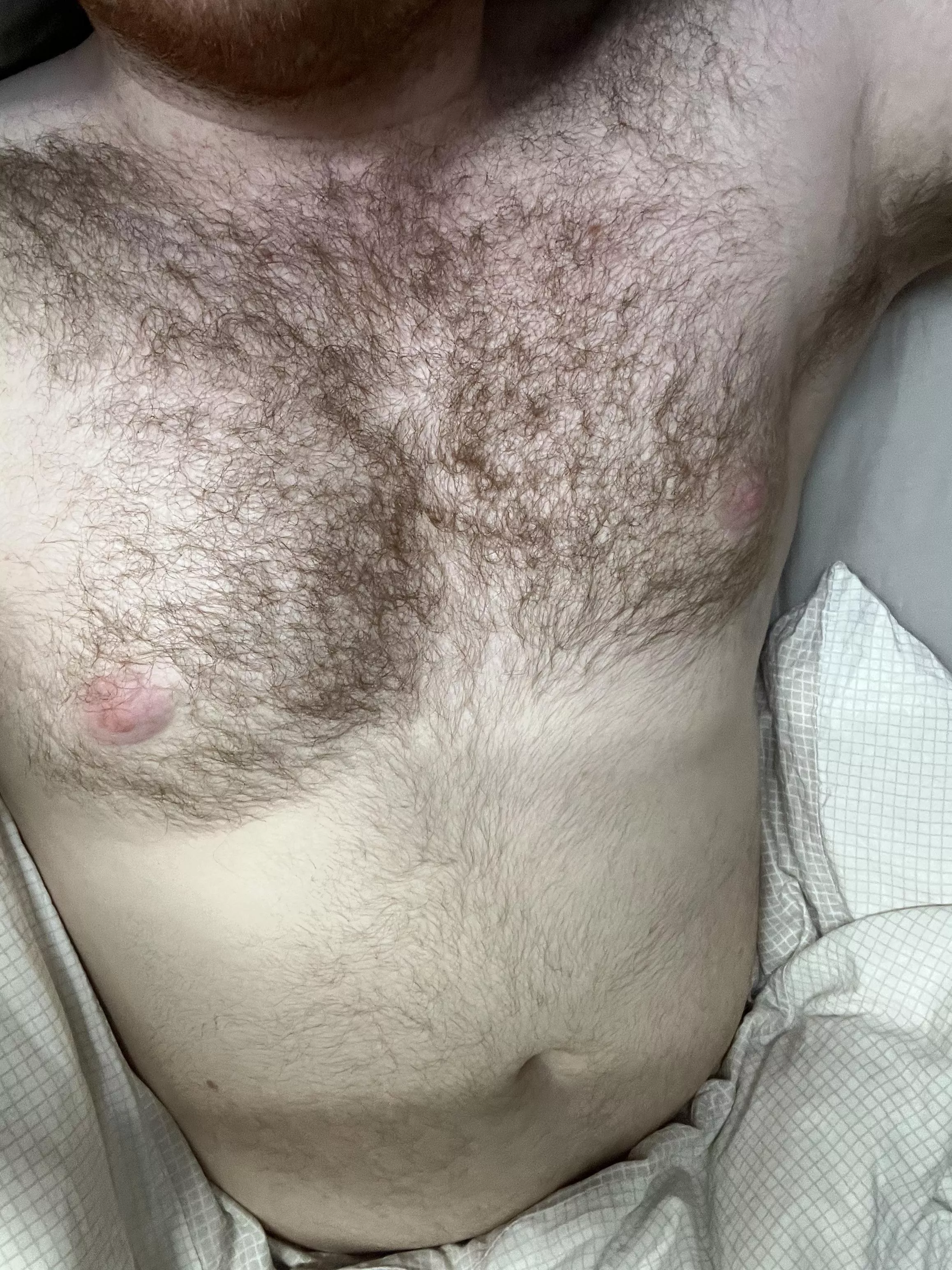 Morning. posted by Ltntxty