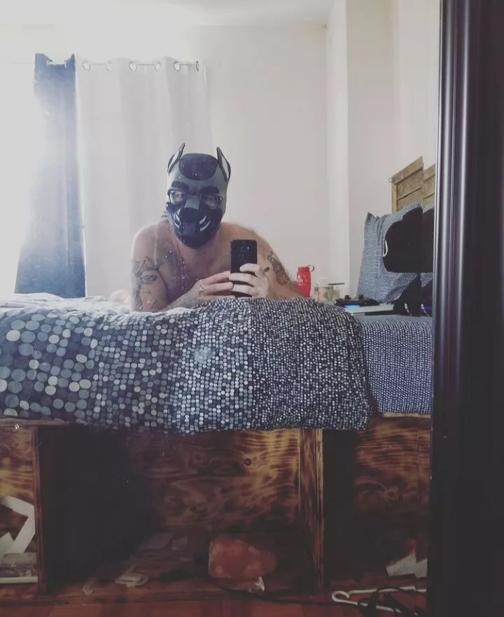 Morning! posted by Alpha_Wvlf