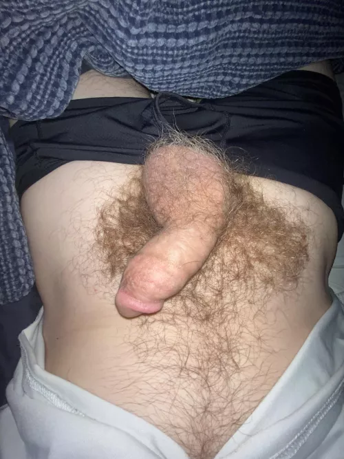 morning bros by No-Conflict-201