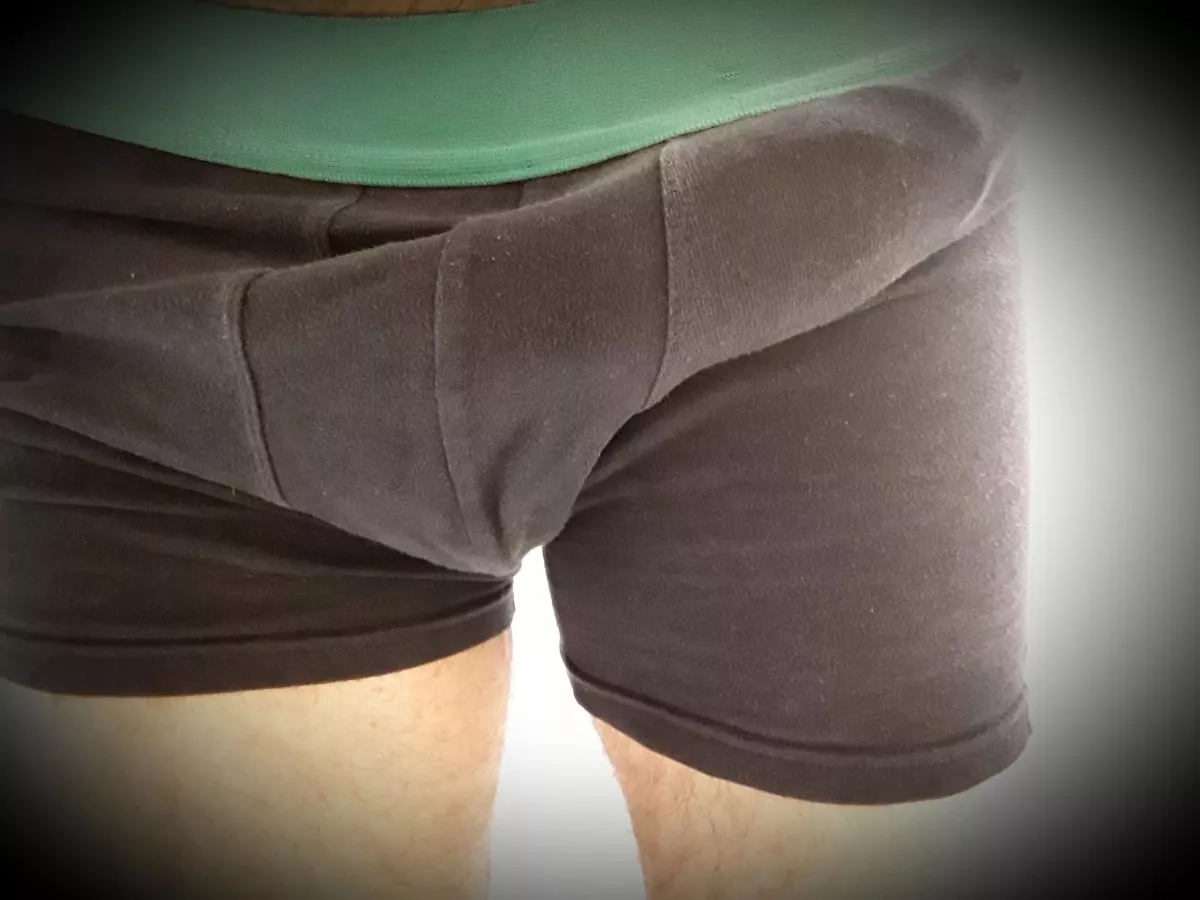 Morning bulge posted by pyrgan