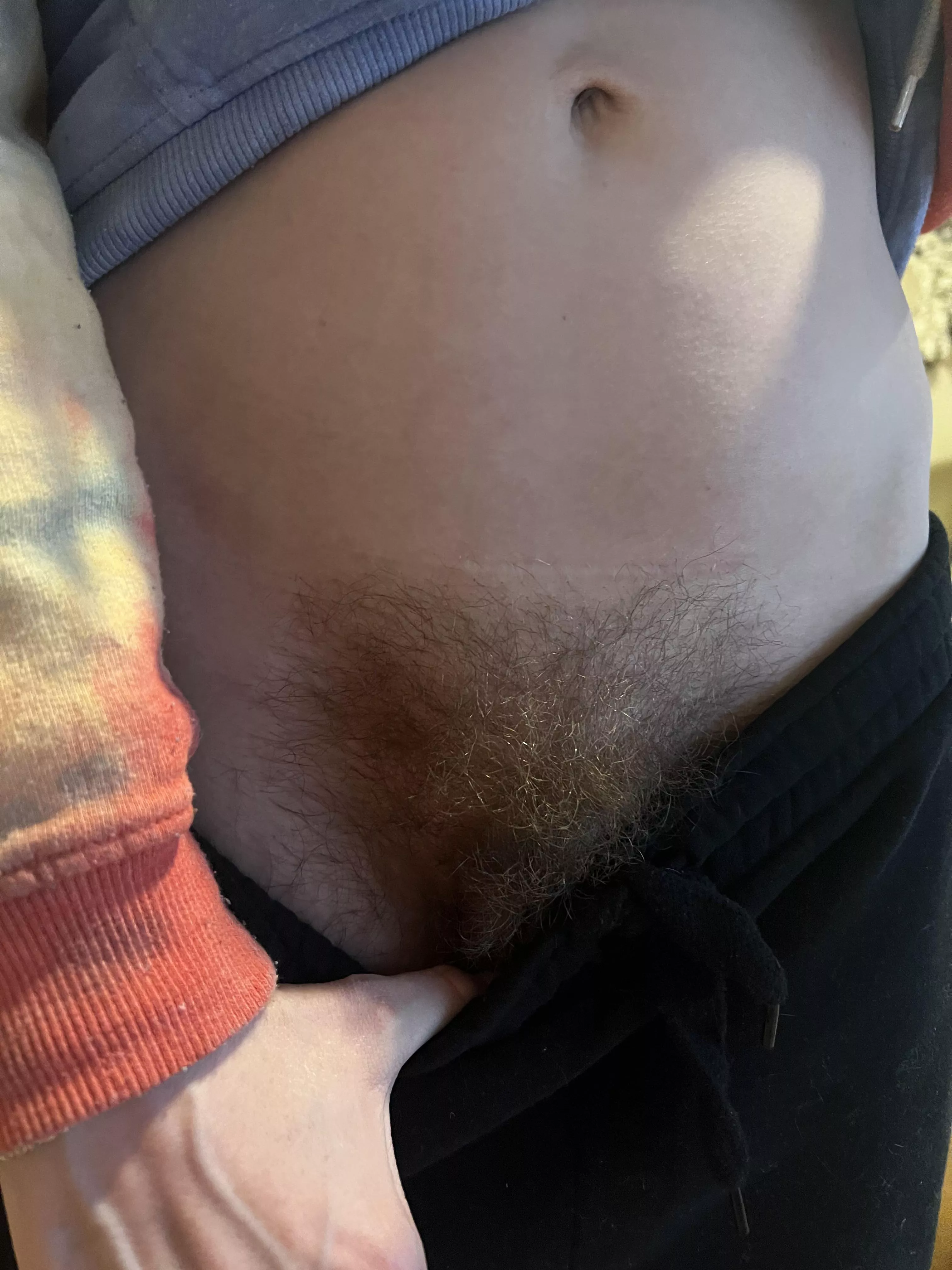 Morning bush 🌳 posted by Sabrinaxh