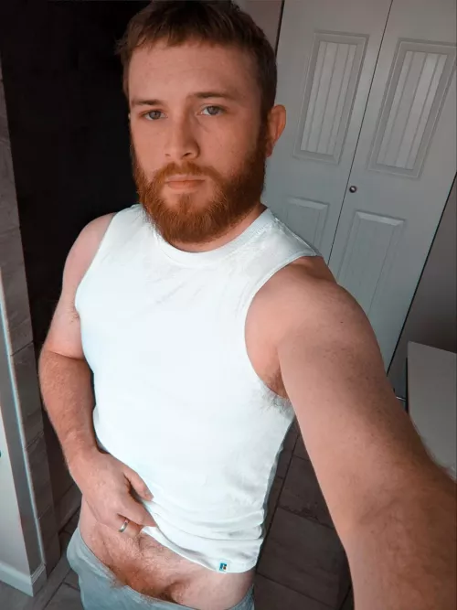 morning bush by logcar26