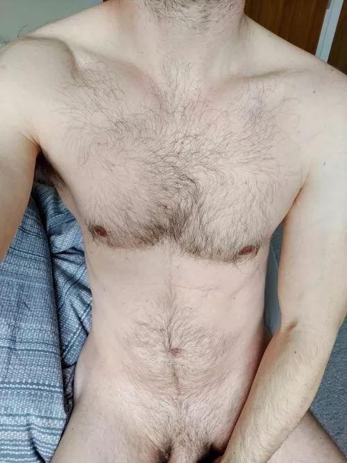 Morning chill by dzm91