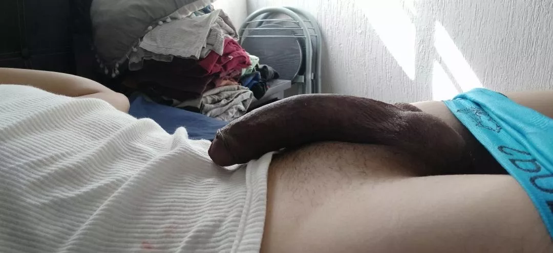 morning cock posted by Correct_Flight5073