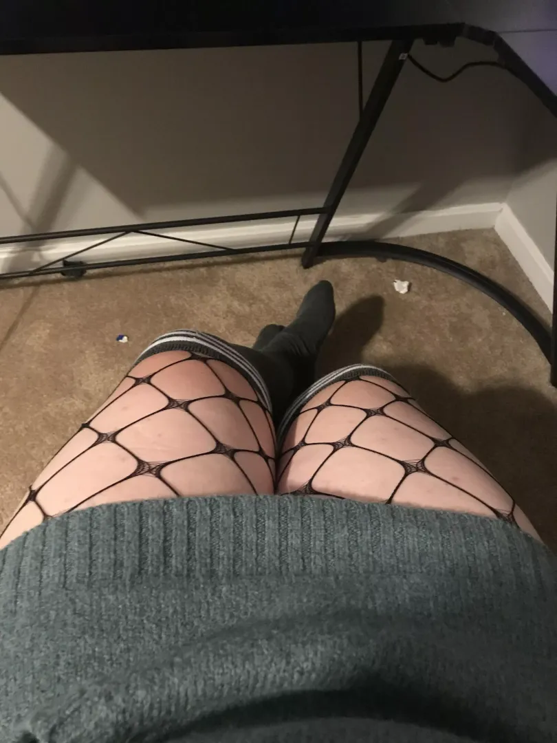 Morning cuties~ posted by PumpkinSpiceKat