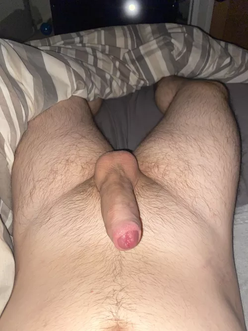 Morning :) by Different_Tea_9006