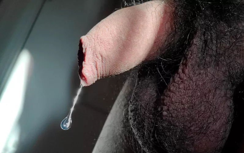 morning dew by Humble_Tiger_1519