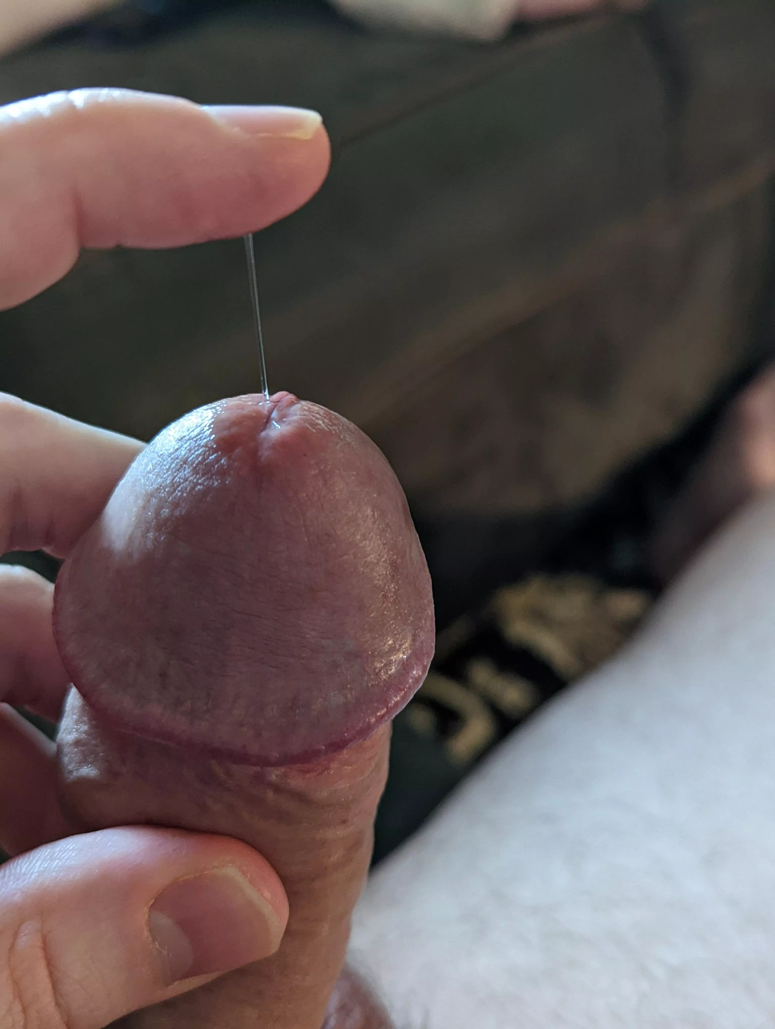 Morning dew posted by suckinginseattle