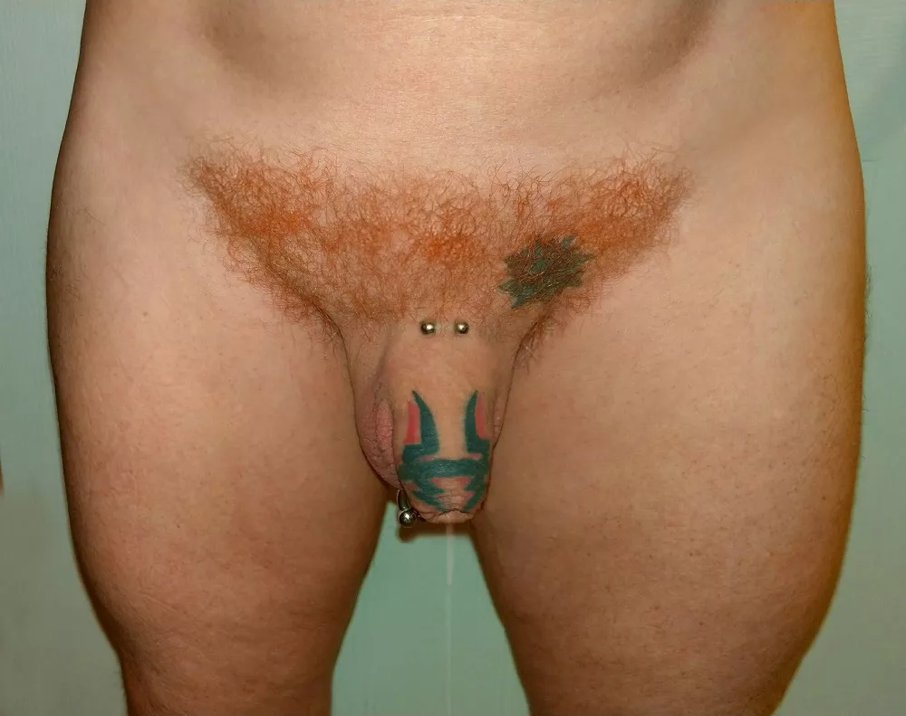 Morning drip posted by Restoredude