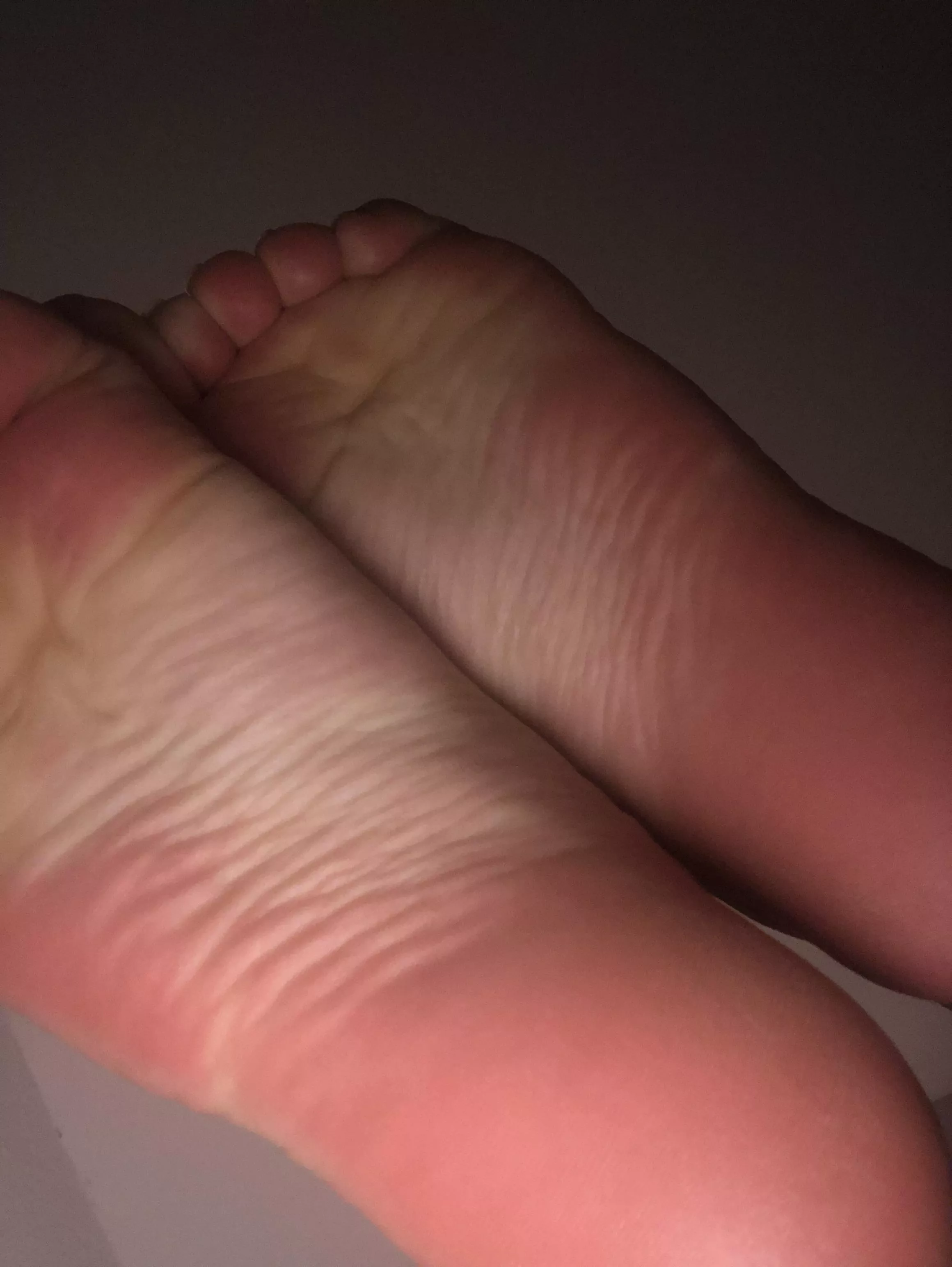 Morning lick? 😈 posted by SofiaVos