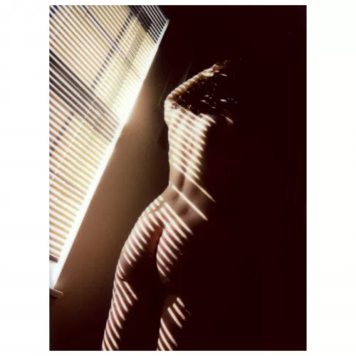 Morning light by SilverArches