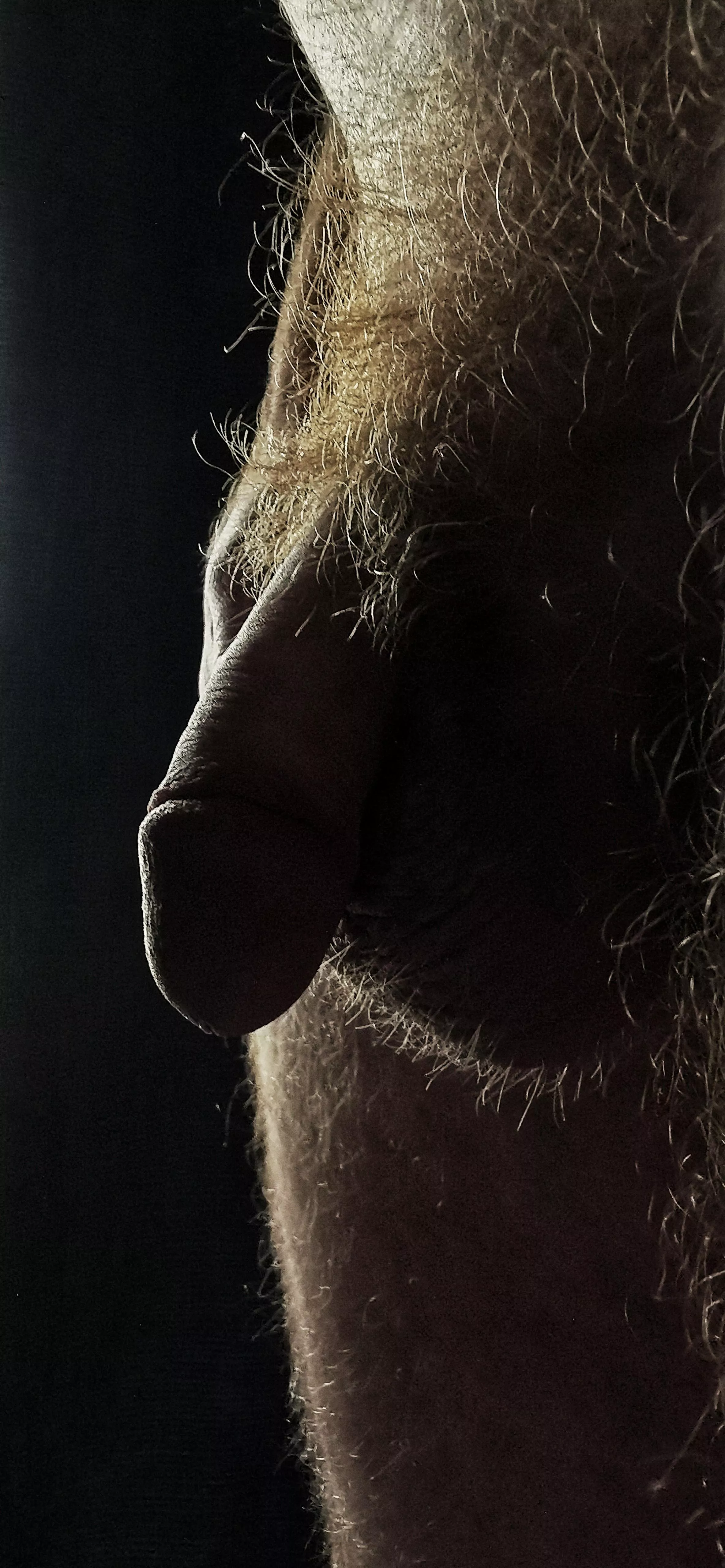 Morning light 🌄🤍 posted by irl-guy