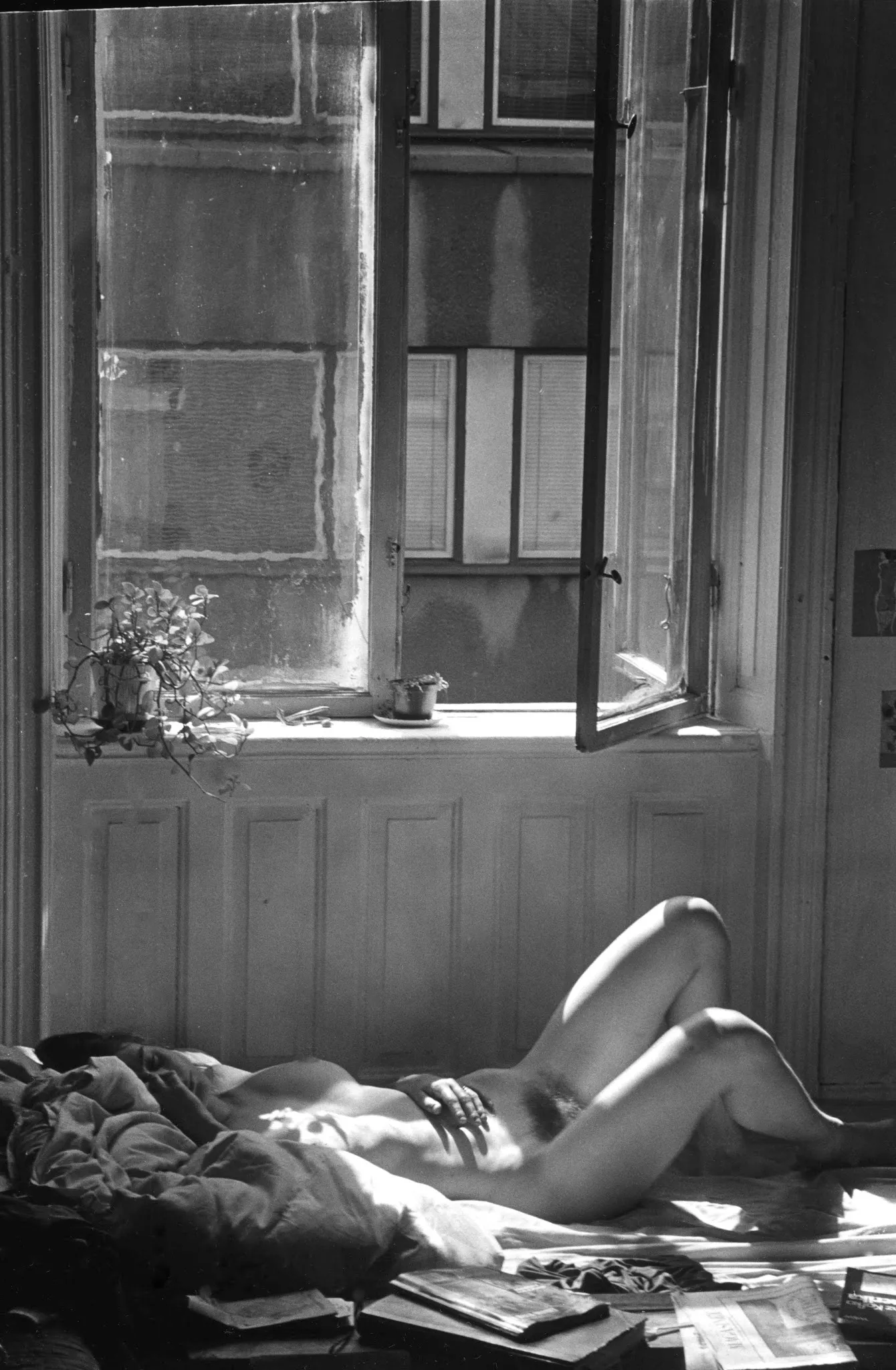 Morning light, black and white posted by legendsoflustauthor