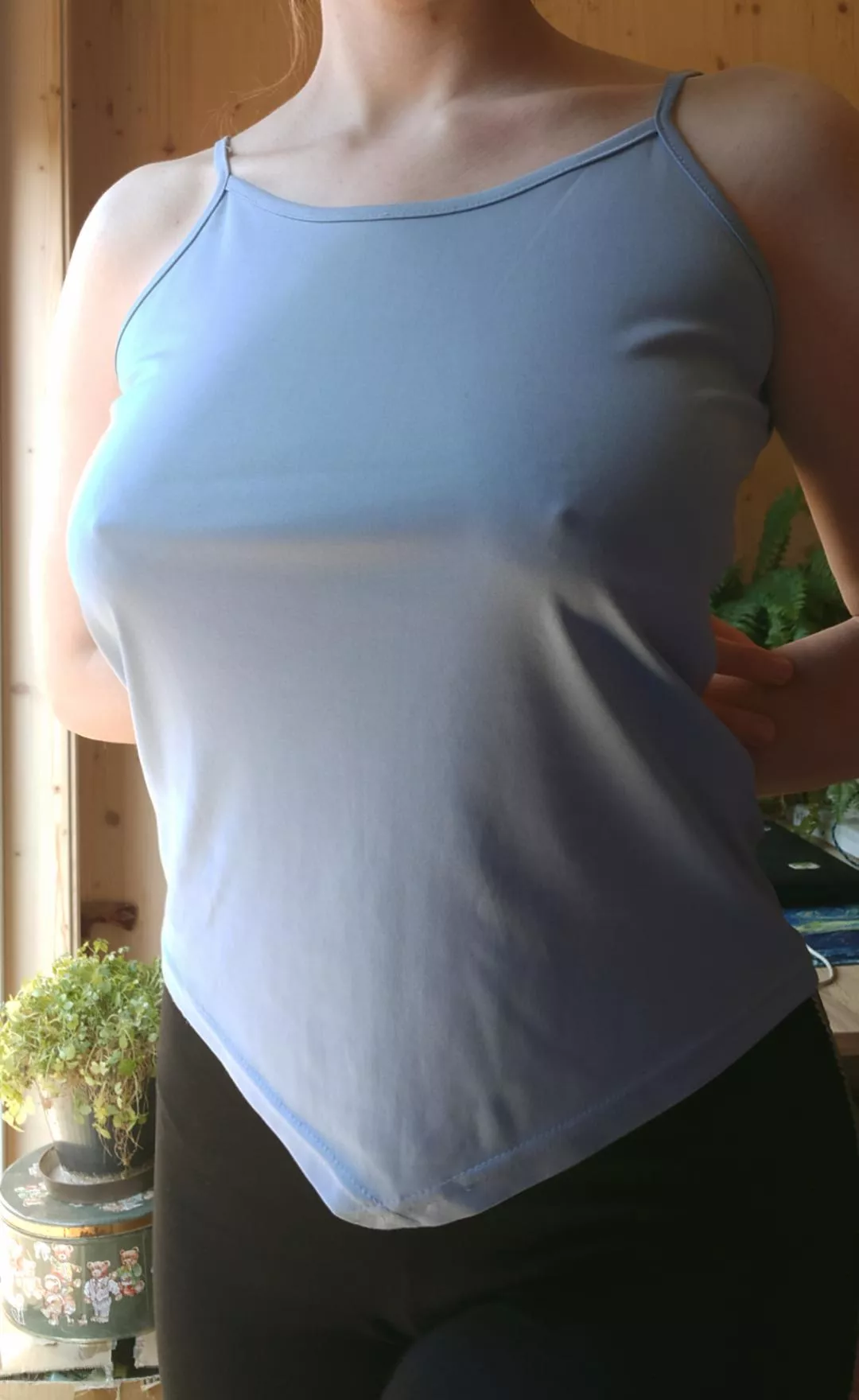 morning pokies! also don't mind my plant, she's okay posted by _StarSpirits