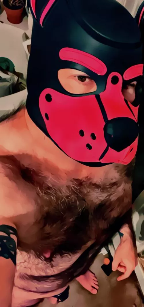 Morning Puppers by Sad_Parsnip_3842