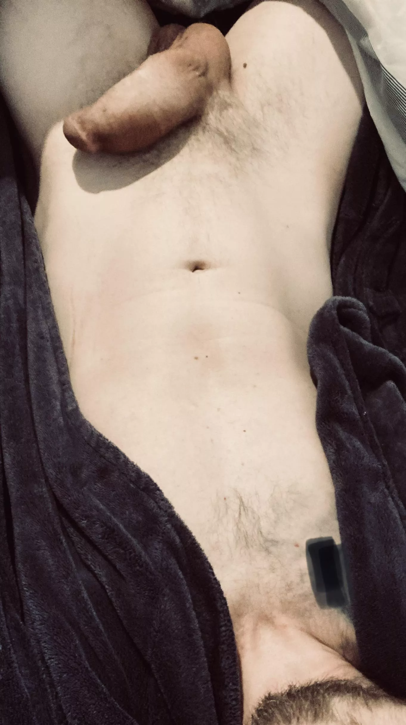 Morning Reddit posted by kiltboy1