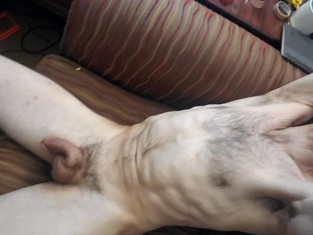 morning stretches [40] posted by chefchef81