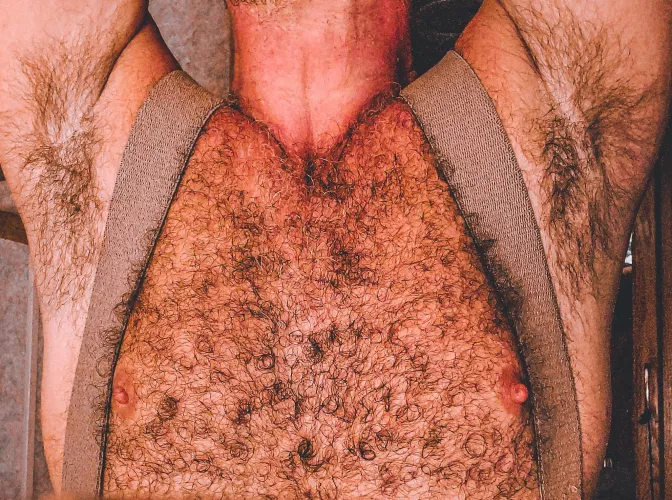 Morning stretches by hrh409