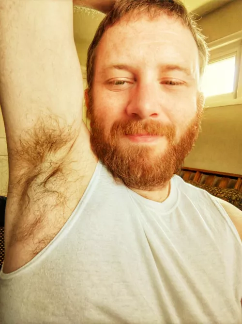 morning sun by logcar26