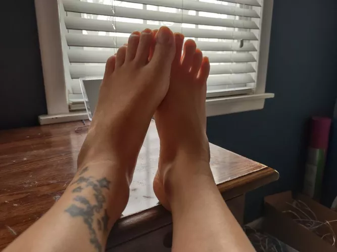 morning toes. just woke up by Some-Arachnid-3758