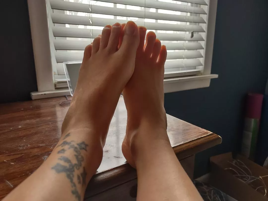 morning toes. just woke up posted by Some-Arachnid-3758