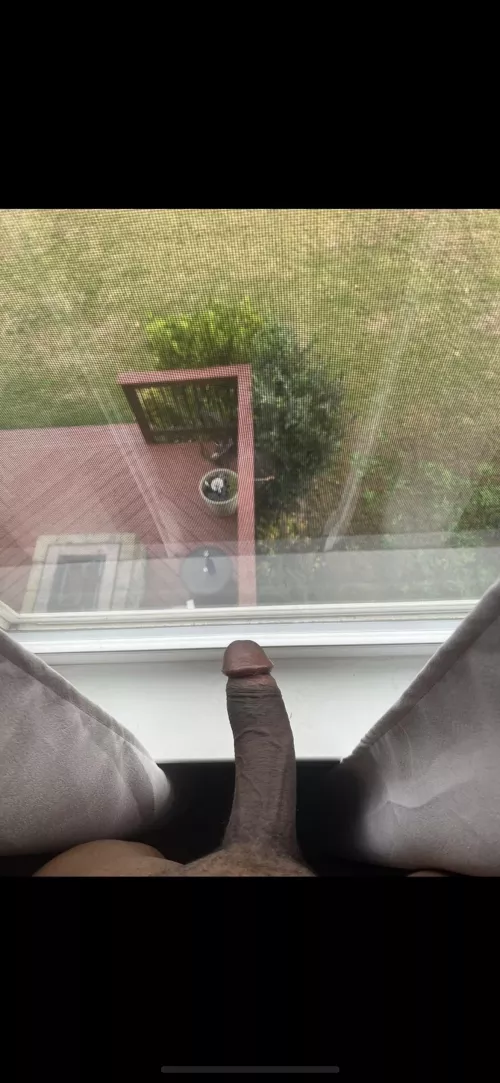 Morning view by CoachK014