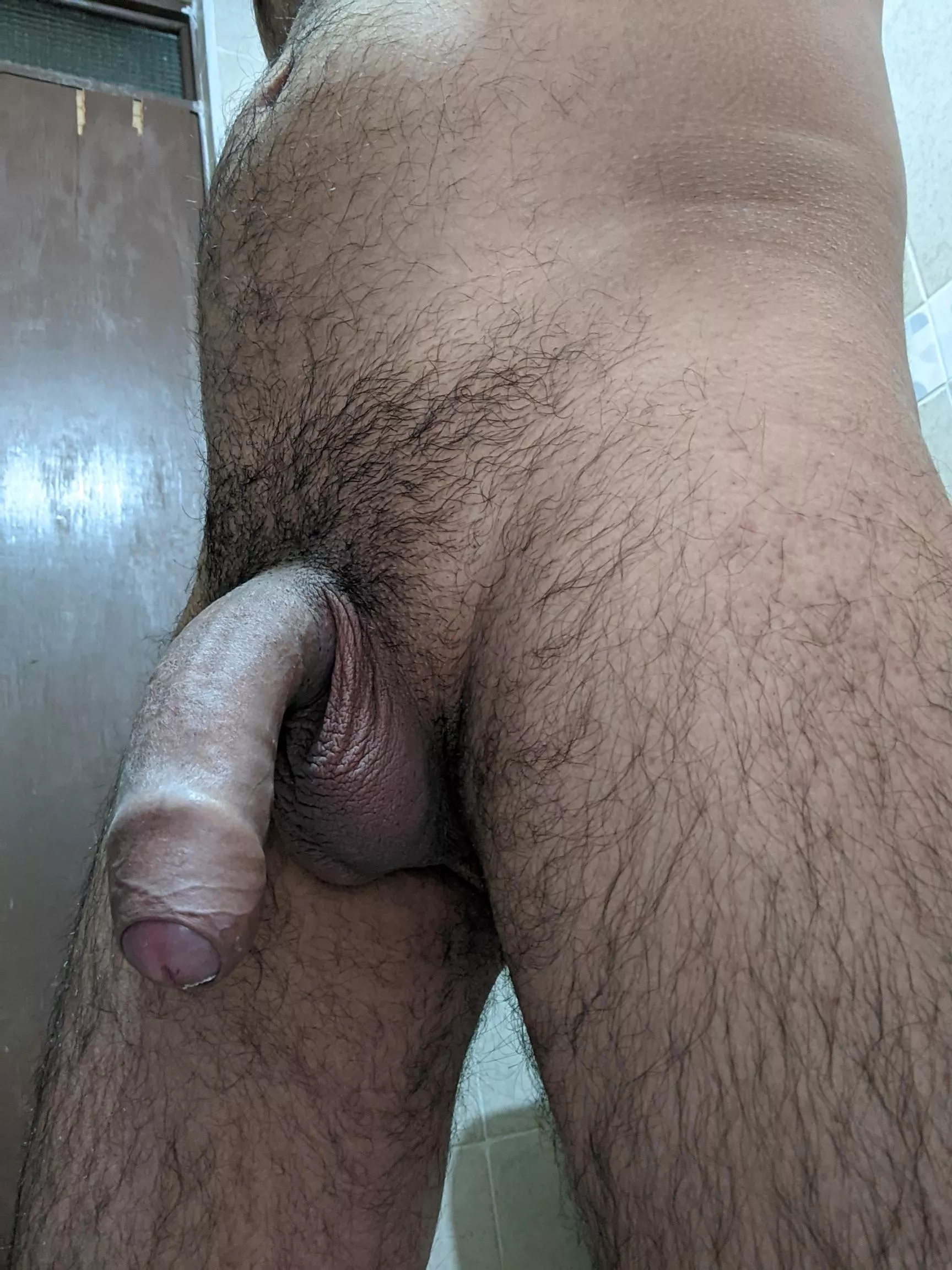 morning posted by pitbull_at_your_feet