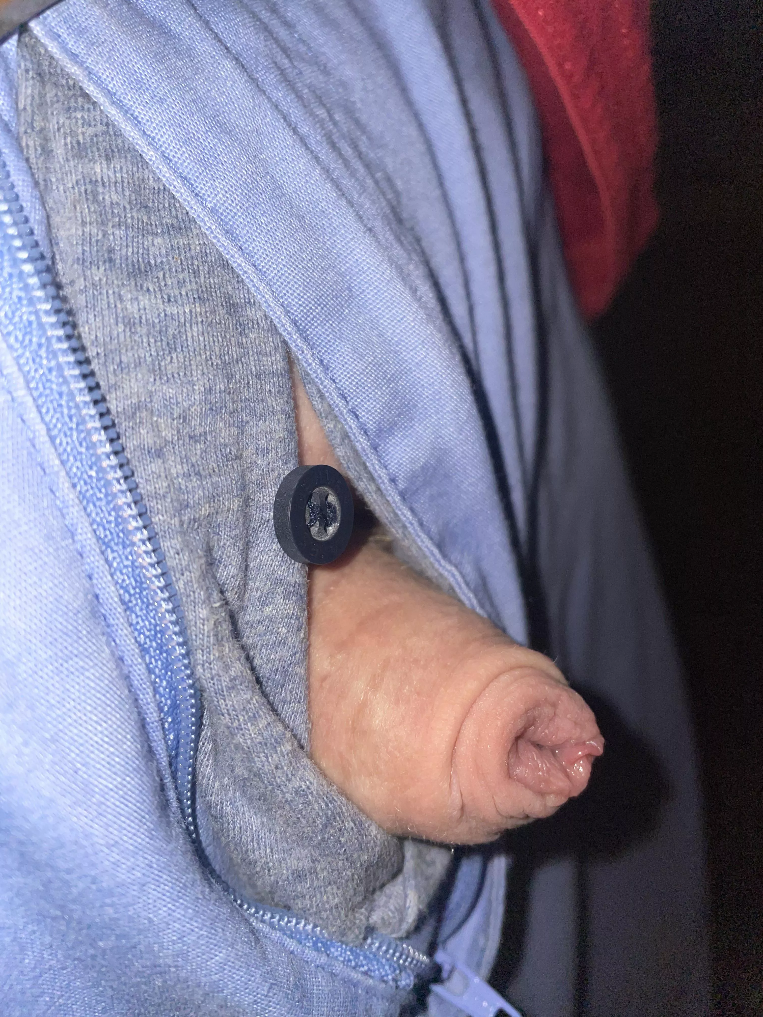 Morning walk (40) posted by Friendly-Jacket-1793