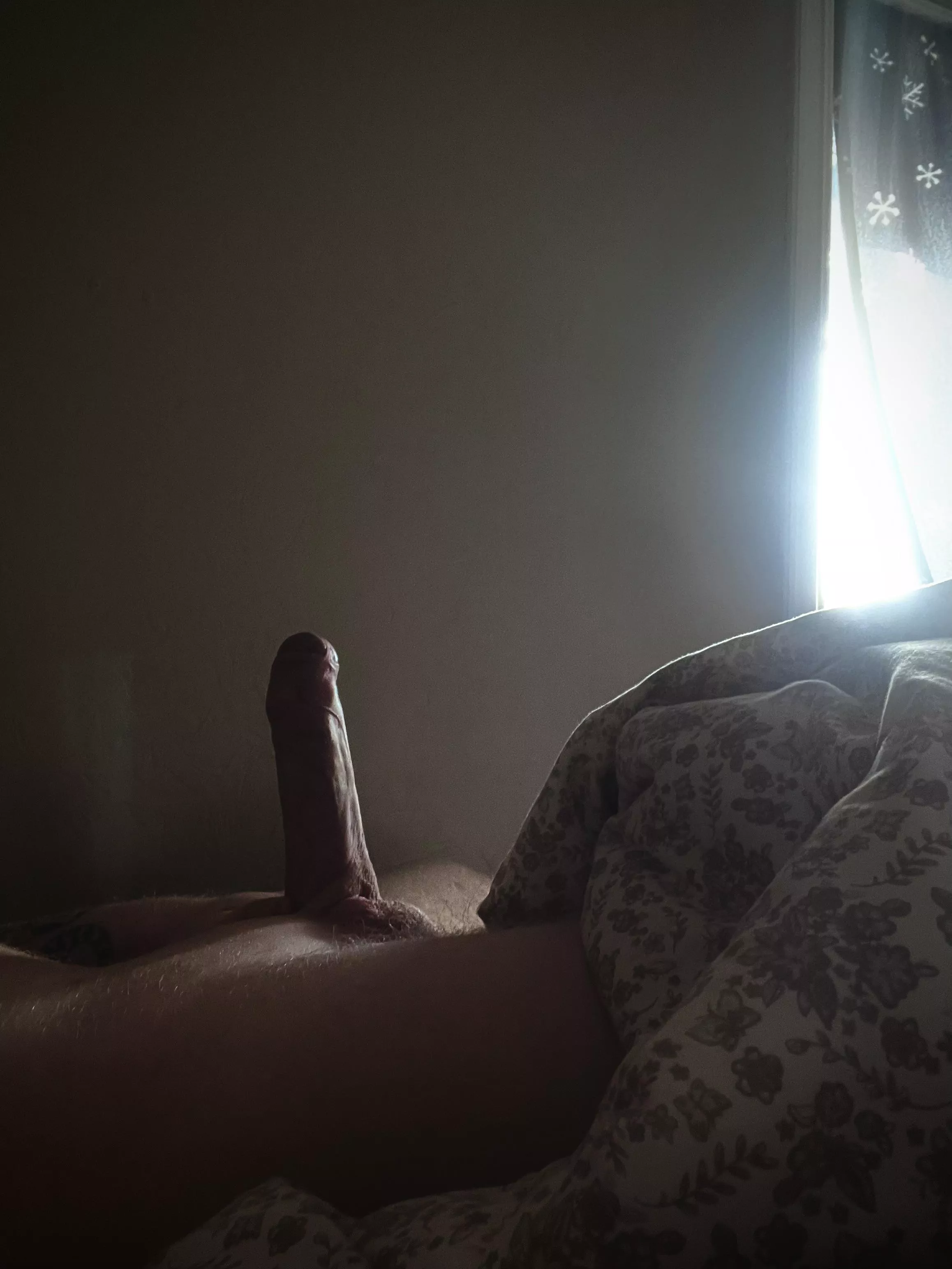 Morning wood posted by Late_Act2814