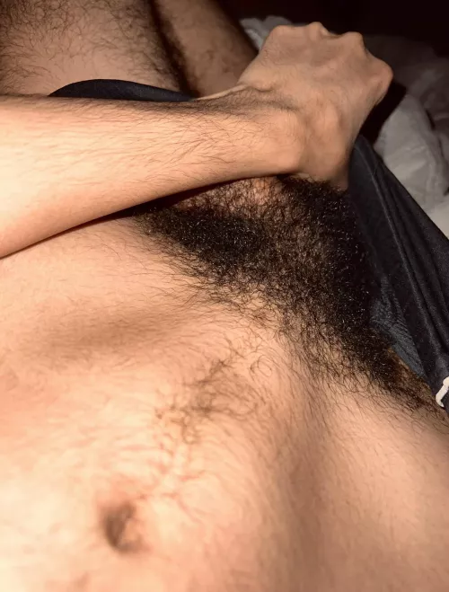 Morning wood 👀 by bushyyguy