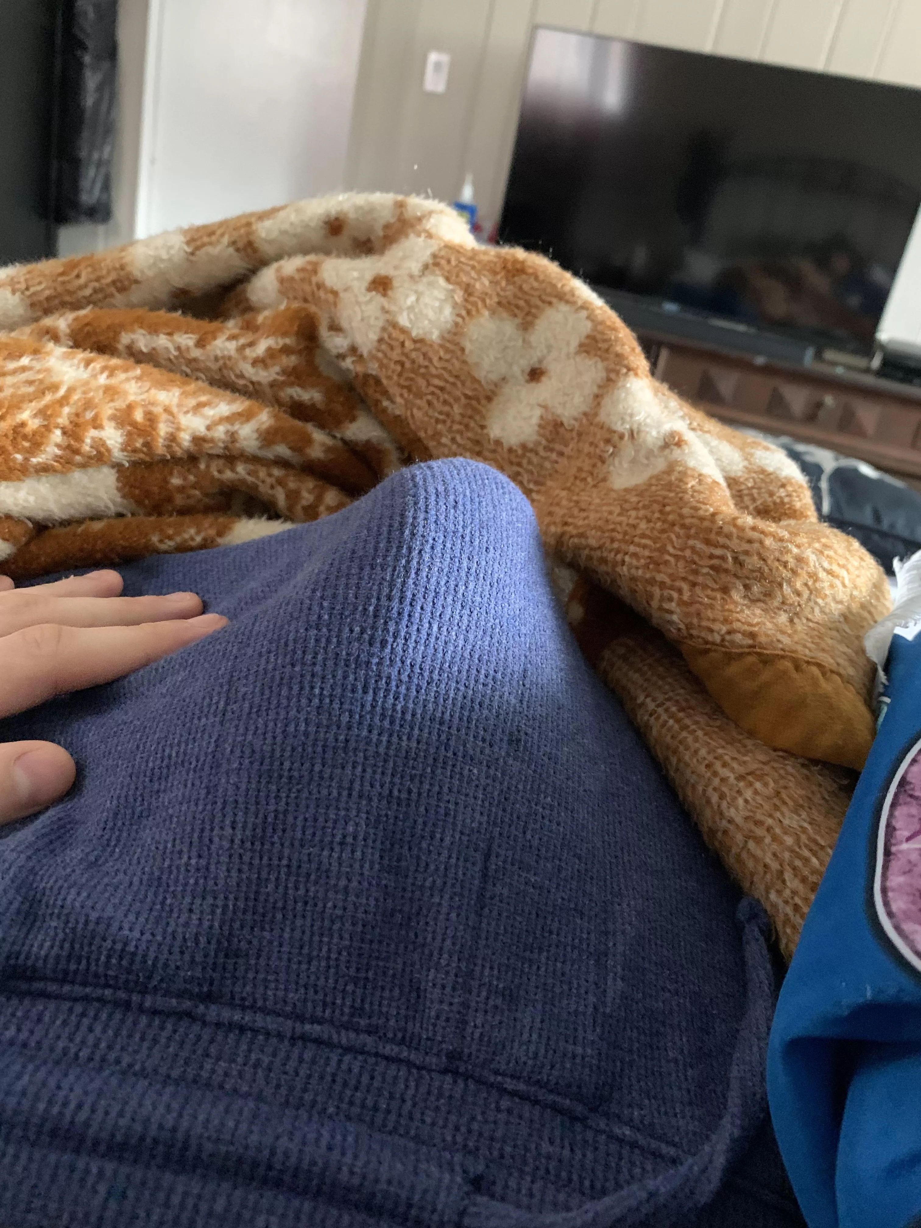 Morning wood posted by Humble_Dog5190