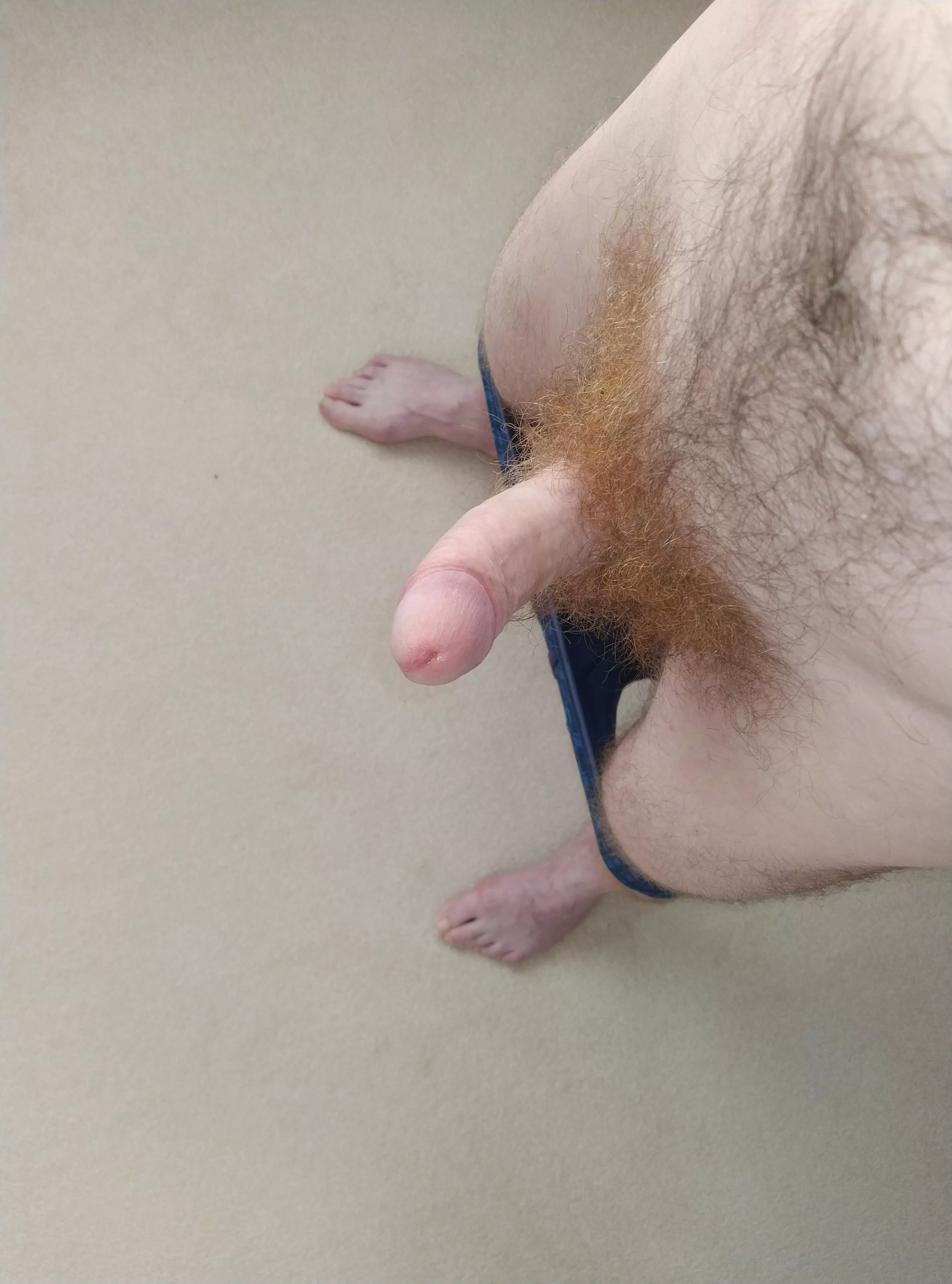 Morning wood.. posted by Deep-Pear3747