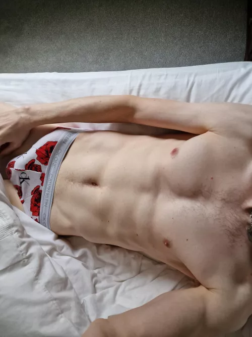 morning wood by wondered86