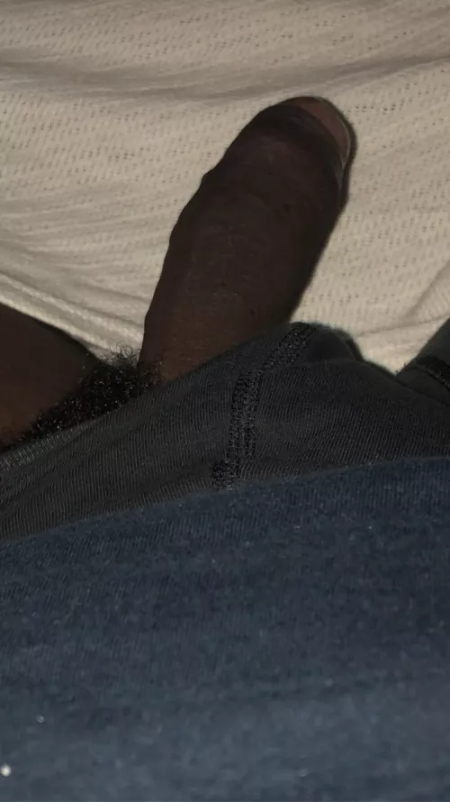 Morning Wood is my alarm clock by KingZo305