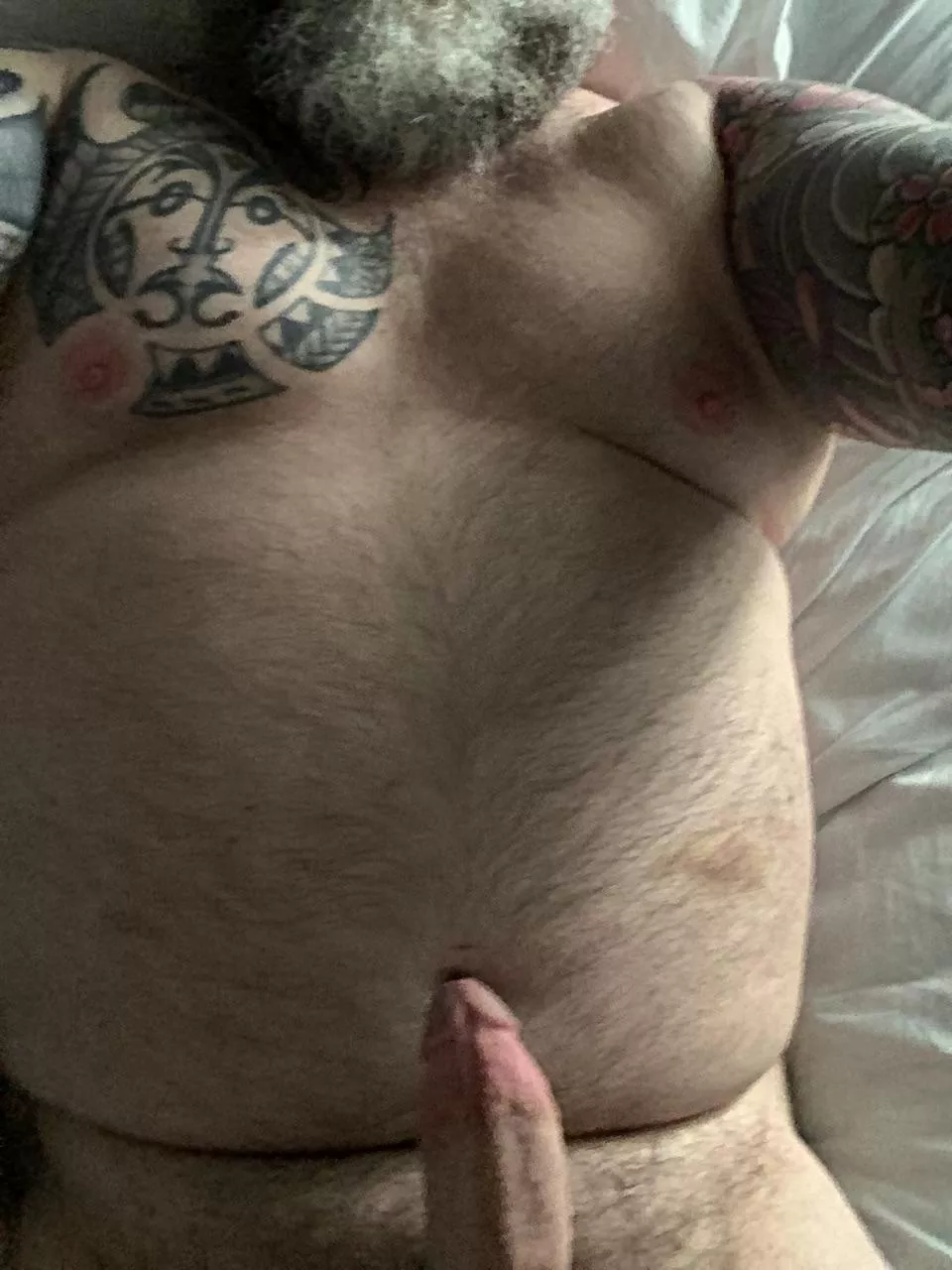 Morning wood posted by Independent_Collar21