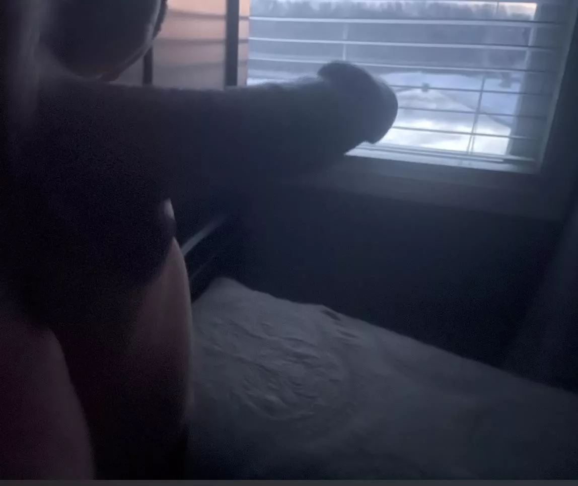 Morning Wood 😉 posted by BigWill457