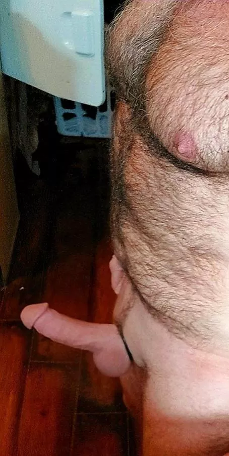 Morning wood yesterday. Got wet a few minutes latet.[56] posted by anoninupstate