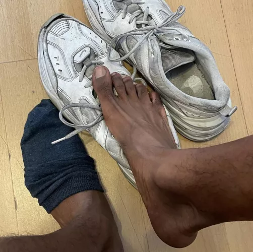 Morning…now get to work 👃🏽🐽💦 by azaz_121212