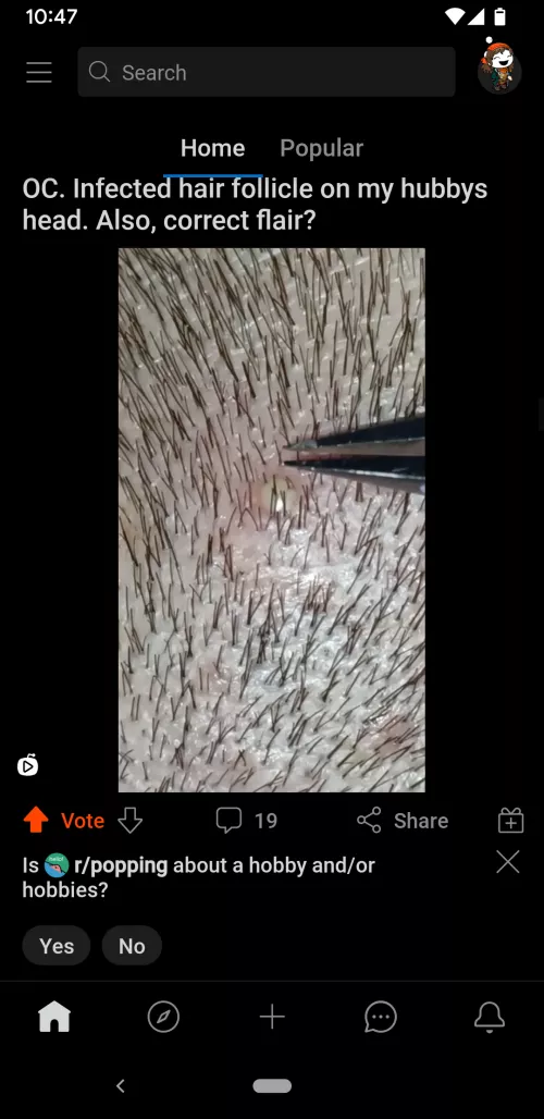 Most definitely a hobby 😂 by bitsy88