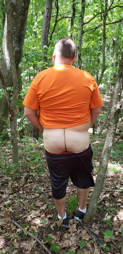 Mt favorite chubby out in the woods looking for a stick posted by dennis_spruce