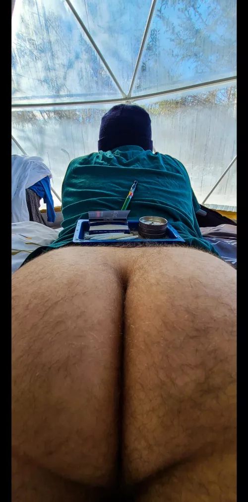 multi purpose by Logan_Luke_OF