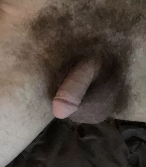 Musky by Suddenly-Seemoor