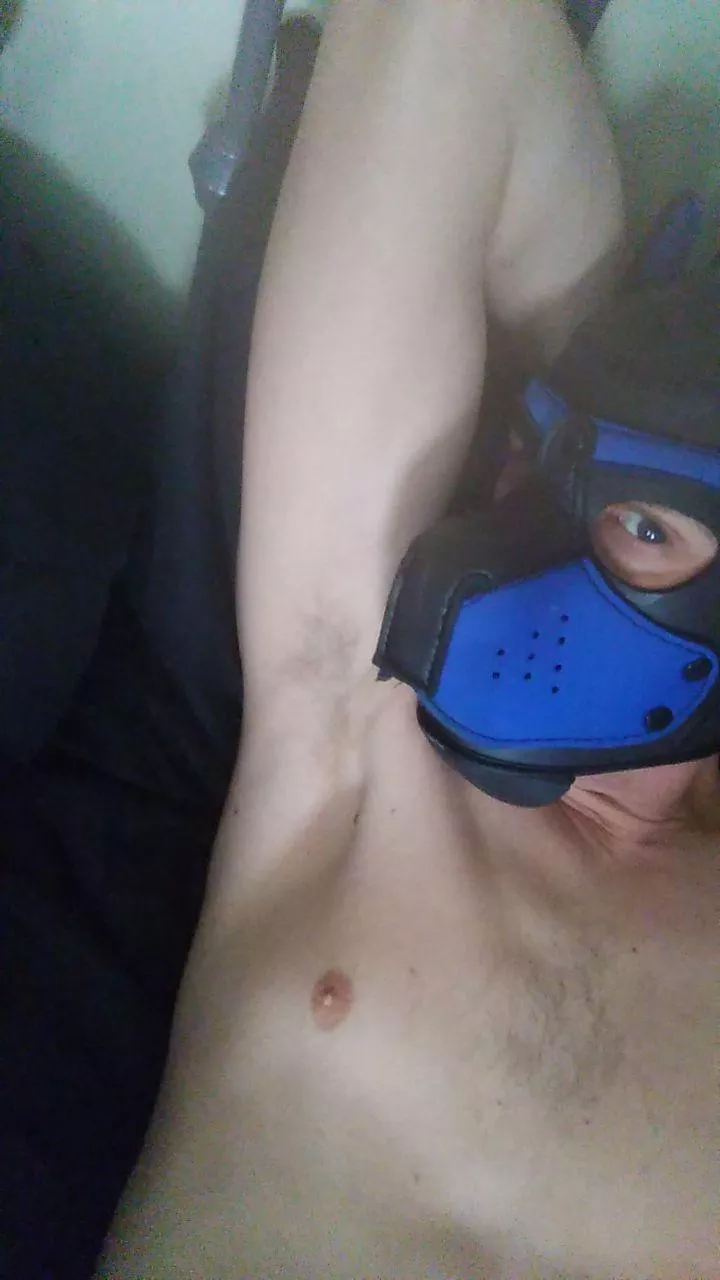 Musky pits? Absolutely yes please! posted by PupMaxis