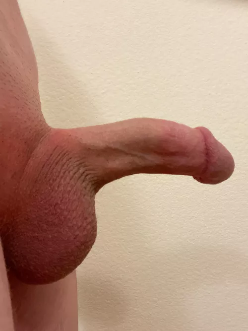 My 19 year old penis by Electrical-Chart-905