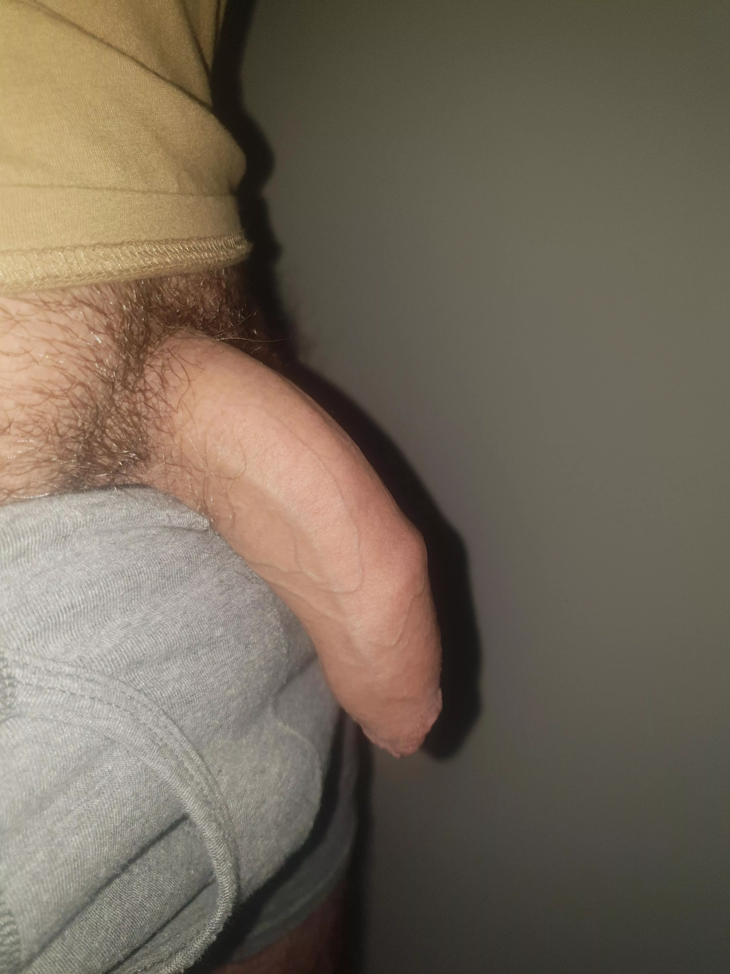 My (24) soft uncut cock posted by sawyerhurley7